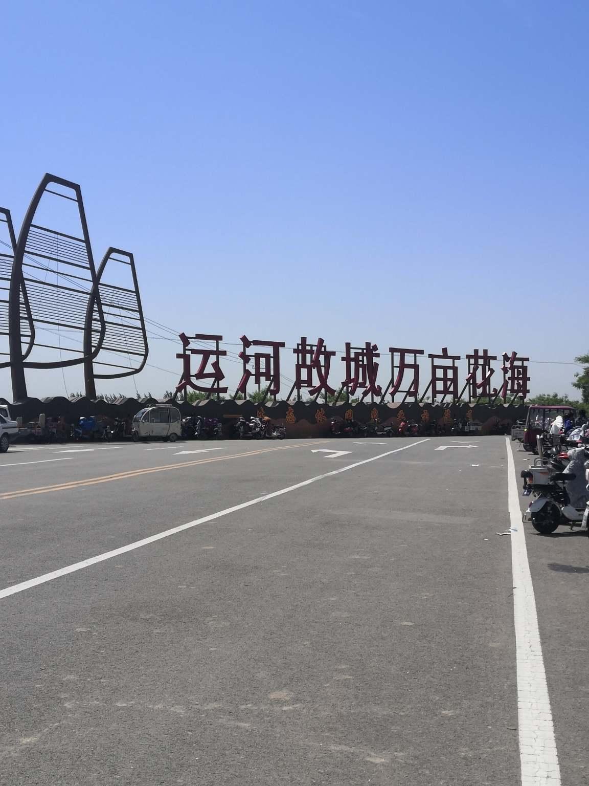 运河故城万亩花海