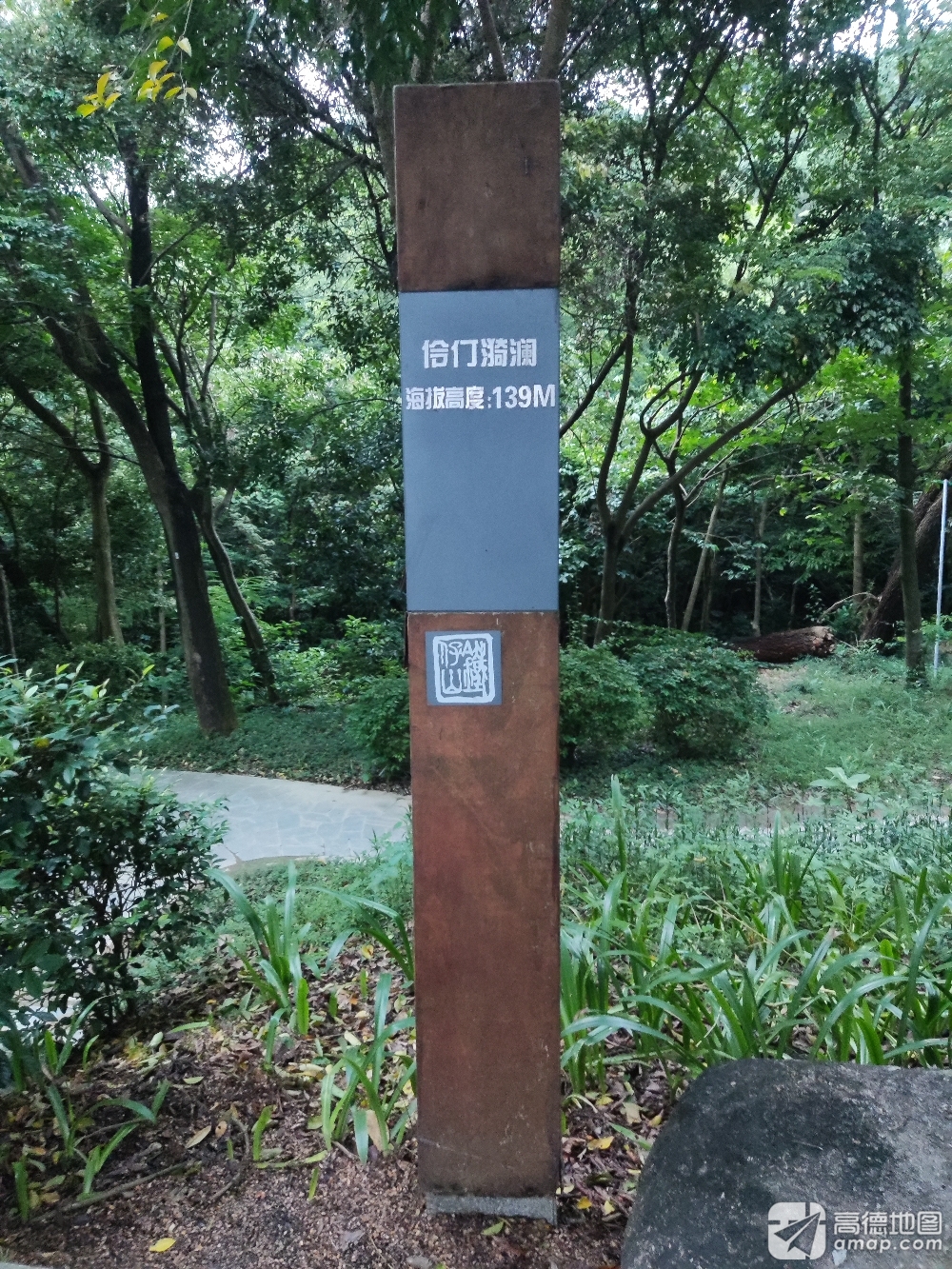 伶仃漪澜