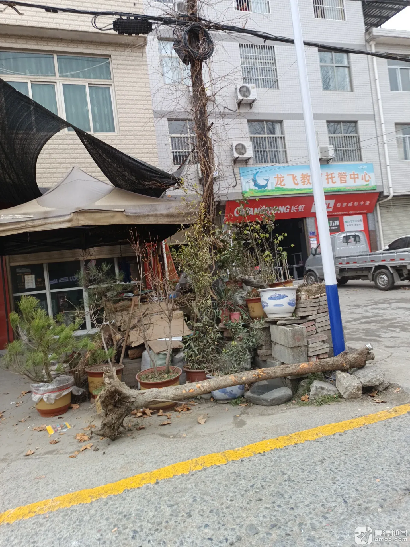 龙飞教育